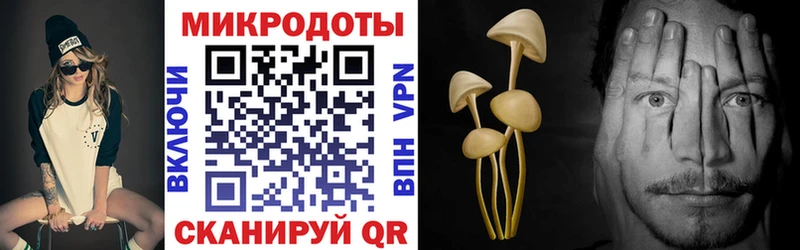 Псилоцибиновые грибы Psilocybine cubensis  где купить   Кочубеевское 
