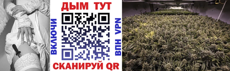 Бошки марихуана ГИДРОПОН Кочубеевское